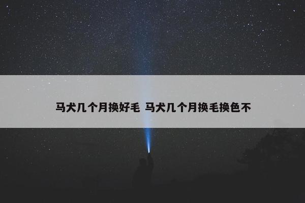 马犬几个月换好毛 马犬几个月换毛换色不