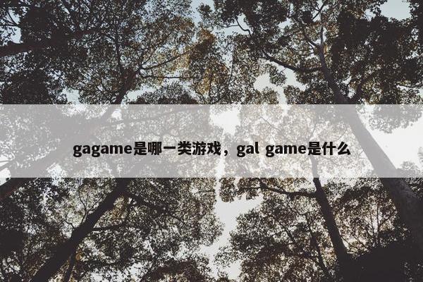 gagame是哪一类游戏，gal game是什么