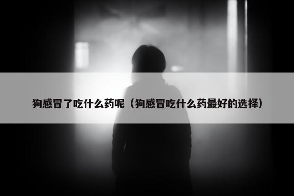 狗感冒了吃什么药呢（狗感冒吃什么药最好的选择）