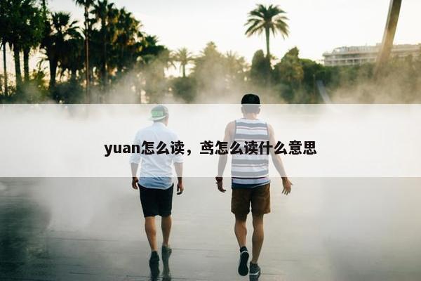 yuan怎么读，鸢怎么读什么意思