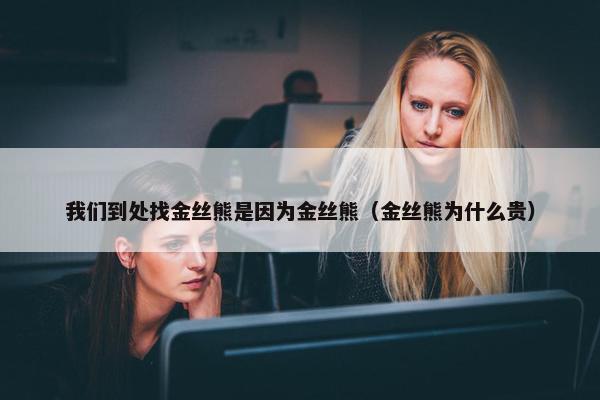 我们到处找金丝熊是因为金丝熊（金丝熊为什么贵）