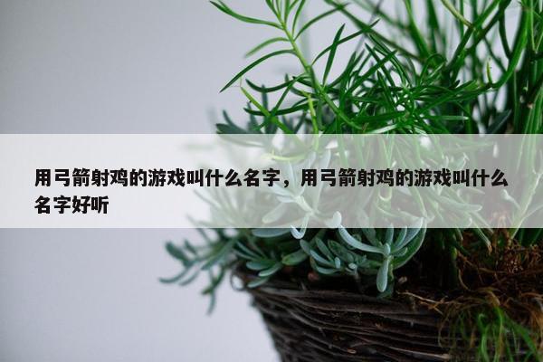 用弓箭射鸡的游戏叫什么名字，用弓箭射鸡的游戏叫什么名字好听