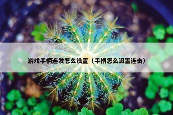 游戏手柄连发怎么设置（手柄怎么设置连击）