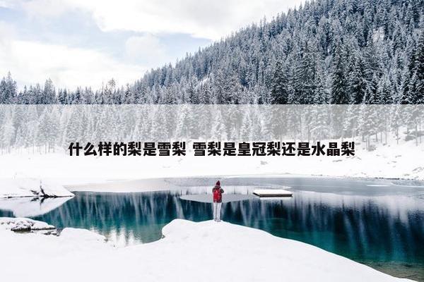 什么样的梨是雪梨 雪梨是皇冠梨还是水晶梨