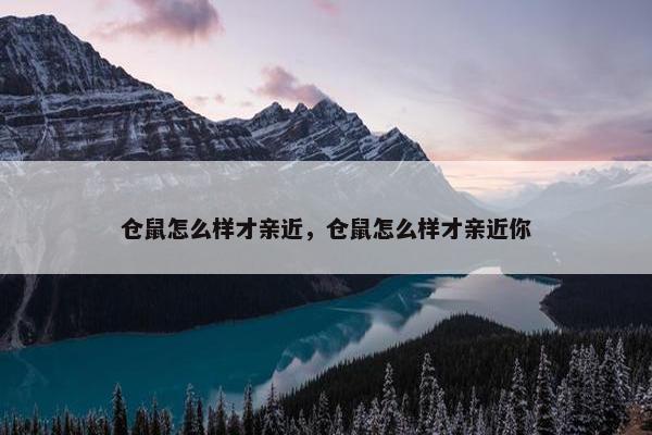 仓鼠怎么样才亲近，仓鼠怎么样才亲近你