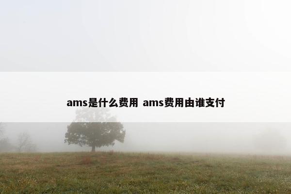 ams是什么费用 ams费用由谁支付