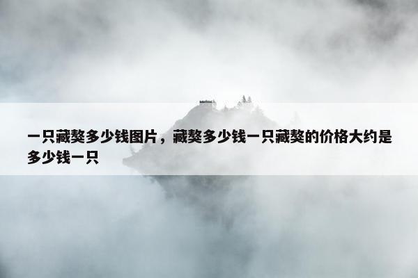 一只藏獒多少钱图片，藏獒多少钱一只藏獒的价格大约是多少钱一只