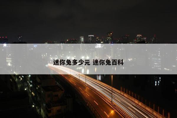 迷你兔多少元 迷你兔百科