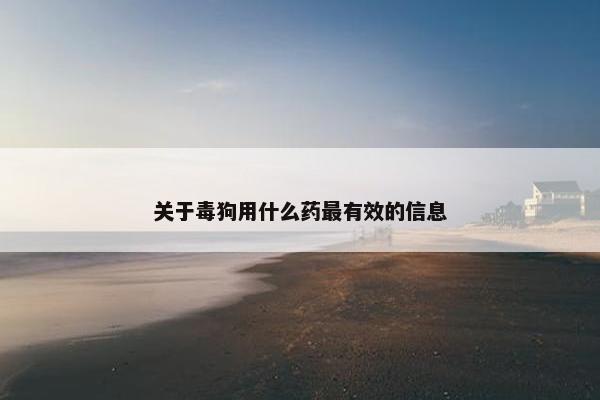 关于毒狗用什么药最有效的信息