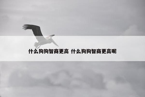 什么狗狗智商更高 什么狗狗智商更高呢