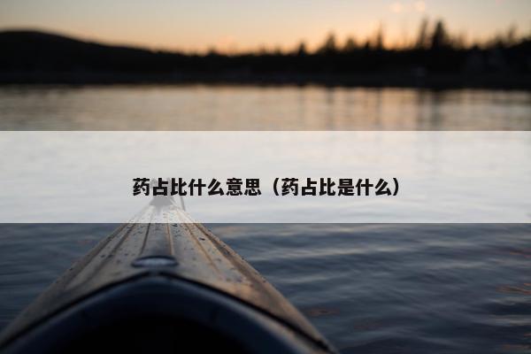 药占比什么意思（药占比是什么）