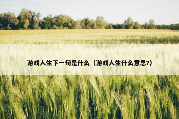 游戏人生下一句是什么（游戏人生什么意思?）