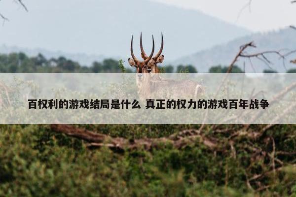 百权利的游戏结局是什么 真正的权力的游戏百年战争