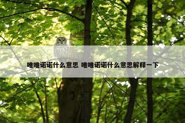 唯唯诺诺什么意思 唯唯诺诺什么意思解释一下