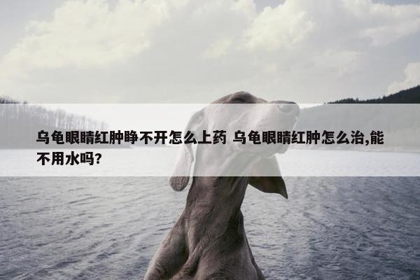 乌龟眼睛红肿睁不开怎么上药 乌龟眼睛红肿怎么治,能不用水吗?