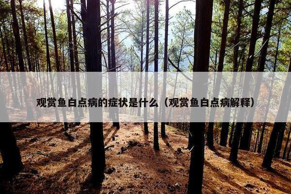 观赏鱼白点病的症状是什么（观赏鱼白点病解释）