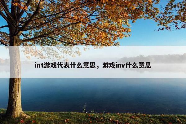 int游戏代表什么意思，游戏inv什么意思