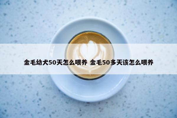 金毛幼犬50天怎么喂养 金毛50多天该怎么喂养