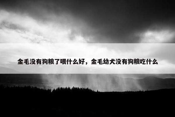 金毛没有狗粮了喂什么好，金毛幼犬没有狗粮吃什么