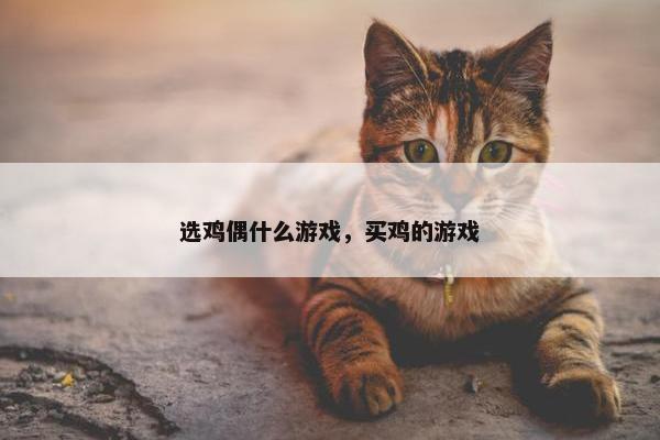 选鸡偶什么游戏，买鸡的游戏