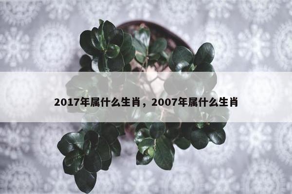 2017年属什么生肖，2007年属什么生肖