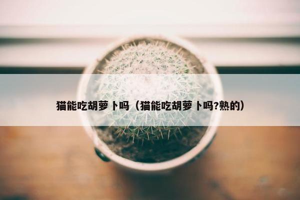 猫能吃胡萝卜吗（猫能吃胡萝卜吗?熟的）