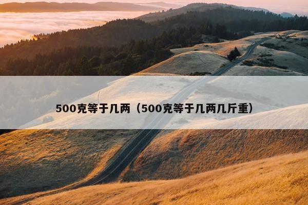 500克等于几两（500克等于几两几斤重）