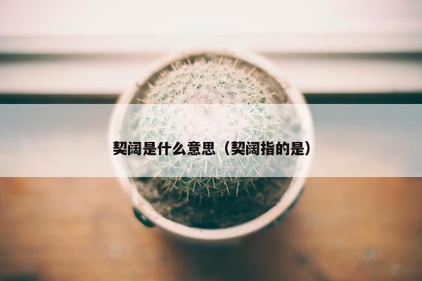 契阔是什么意思（契阔指的是）