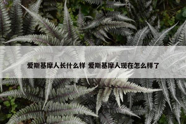 爱斯基摩人长什么样 爱斯基摩人现在怎么样了