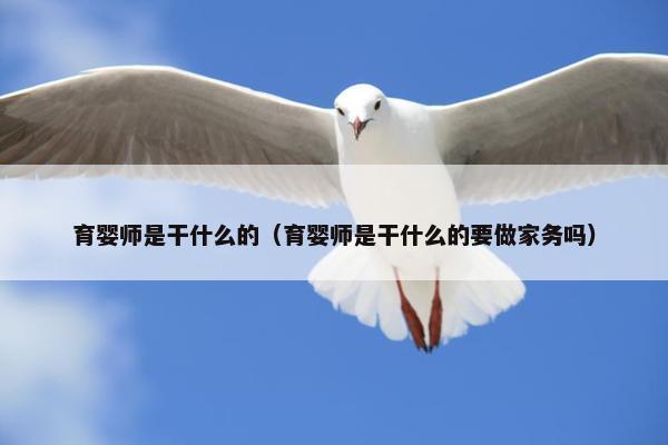 育婴师是干什么的（育婴师是干什么的要做家务吗）