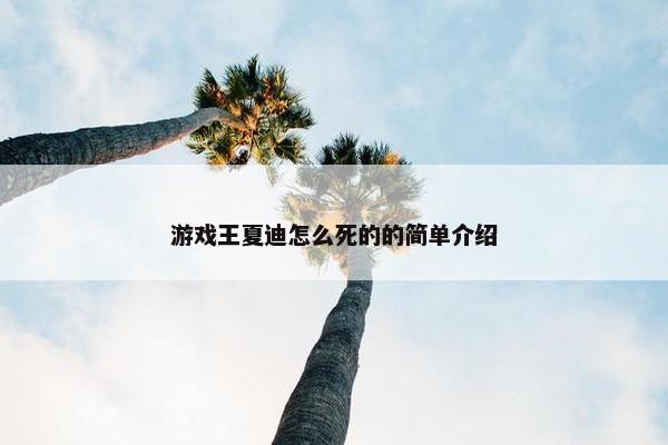 游戏王夏迪怎么死的的简单介绍