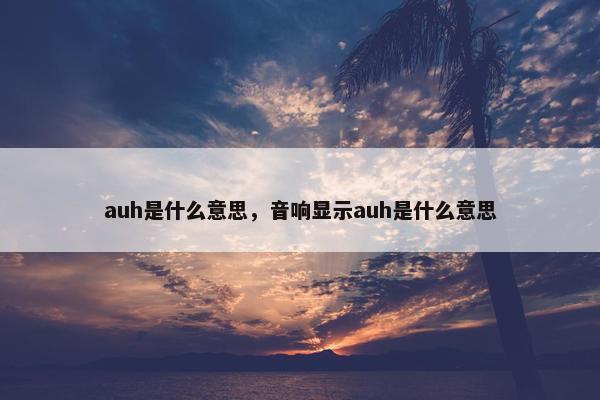 auh是什么意思，音响显示auh是什么意思