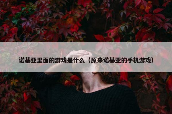 诺基亚里面的游戏是什么（原来诺基亚的手机游戏）