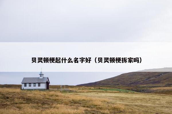 贝灵顿梗起什么名字好（贝灵顿梗拆家吗）