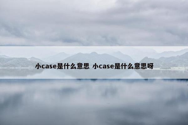 小case是什么意思 小case是什么意思呀