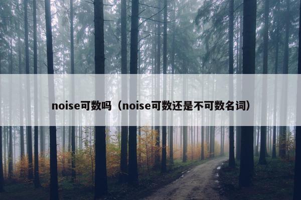 noise可数吗（noise可数还是不可数名词）