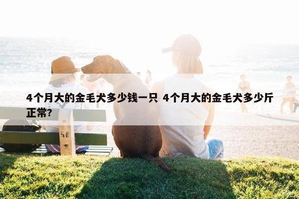 4个月大的金毛犬多少钱一只 4个月大的金毛犬多少斤正常?