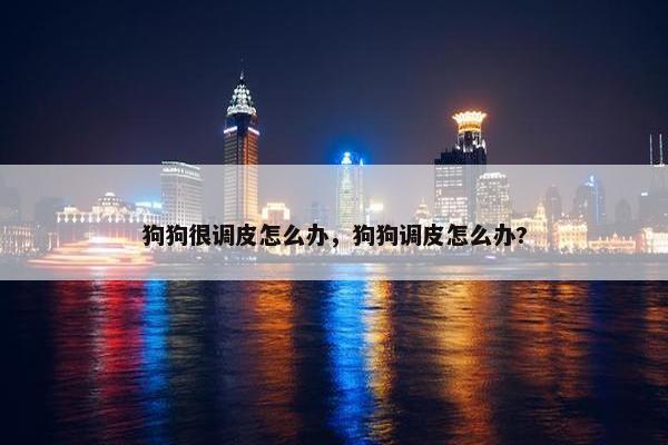 狗狗很调皮怎么办，狗狗调皮怎么办?