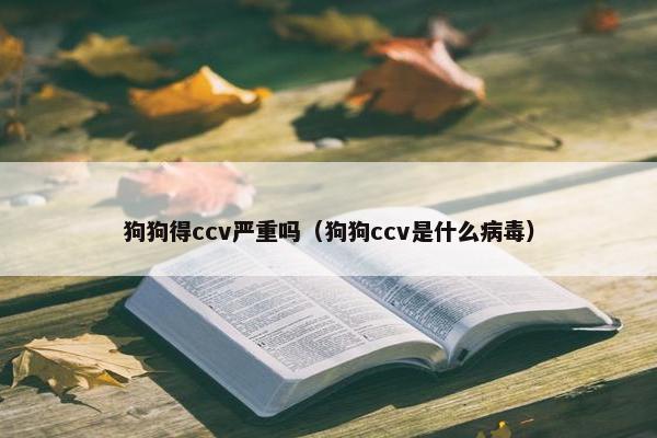 狗狗得ccv严重吗（狗狗ccv是什么病毒）