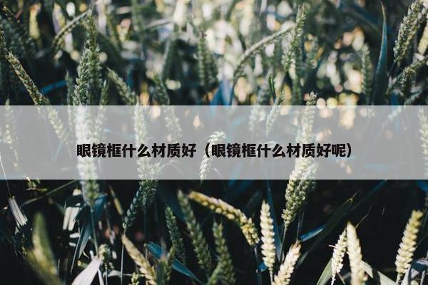 眼镜框什么材质好（眼镜框什么材质好呢）