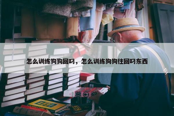 怎么训练狗狗回叼，怎么训练狗狗往回叼东西