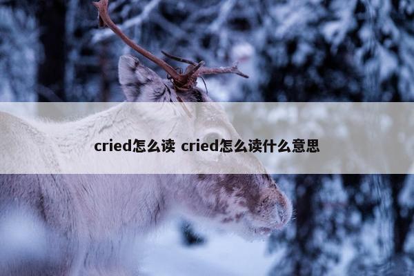 cried怎么读 cried怎么读什么意思