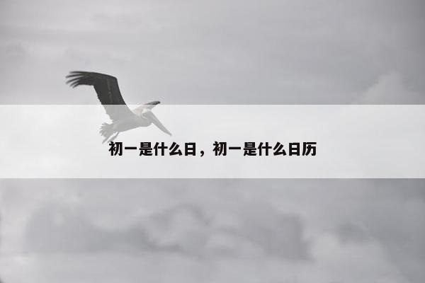 初一是什么日，初一是什么日历