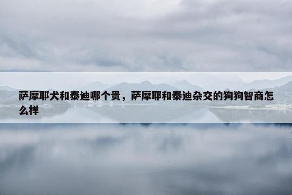 萨摩耶犬和泰迪哪个贵，萨摩耶和泰迪杂交的狗狗智商怎么样