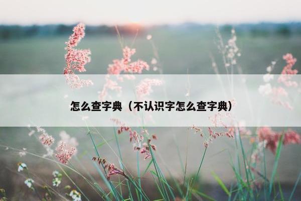 怎么查字典（不认识字怎么查字典）