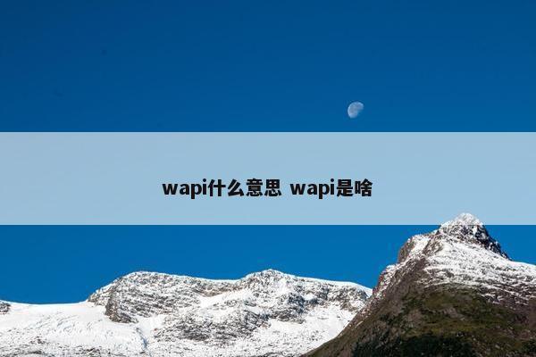 wapi什么意思 wapi是啥