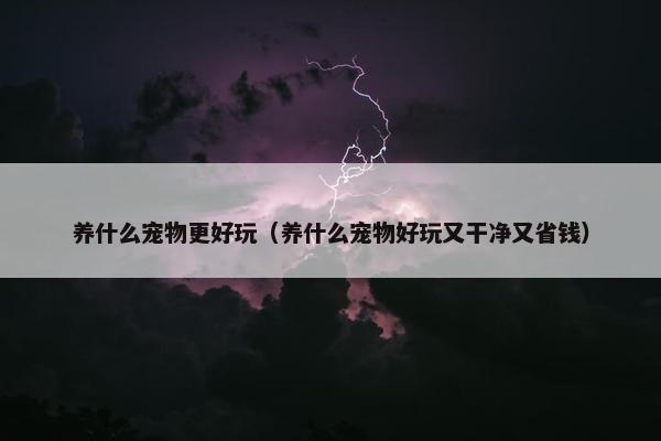 养什么宠物更好玩（养什么宠物好玩又干净又省钱）