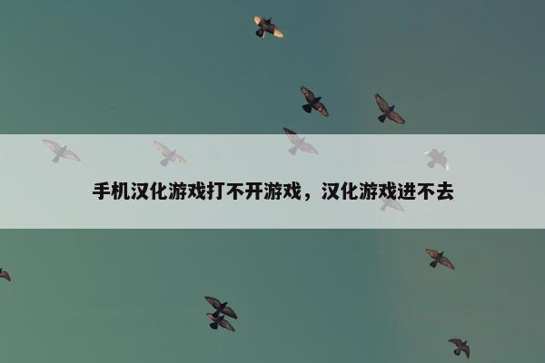 手机汉化游戏打不开游戏，汉化游戏进不去