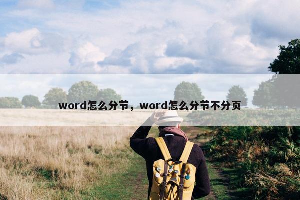 word怎么分节，word怎么分节不分页