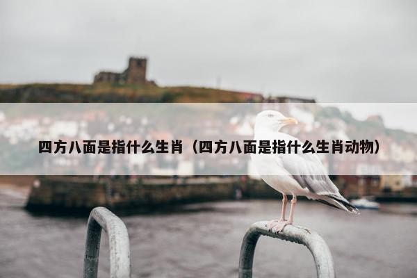 四方八面是指什么生肖（四方八面是指什么生肖动物）